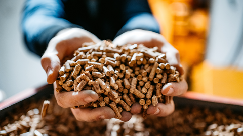 An image of a person holding a handful of wood pellets