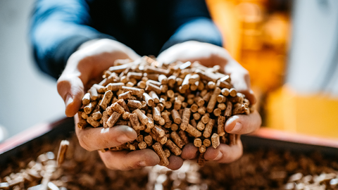 Image of hands holding wood pellets