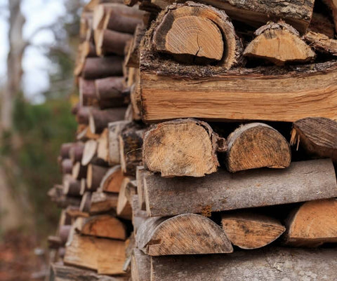Stacked firewood outdoors