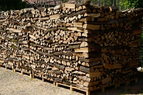 Large stacks of firewood outdoors