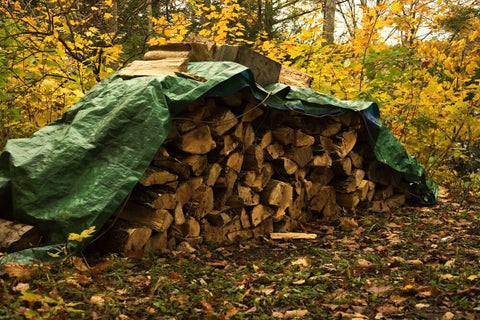 An outdoor wood pile covered by a tarp