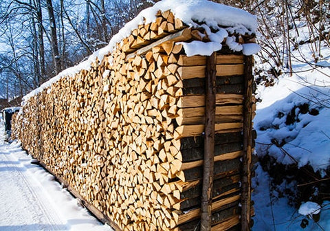The Best Firewood for Burning