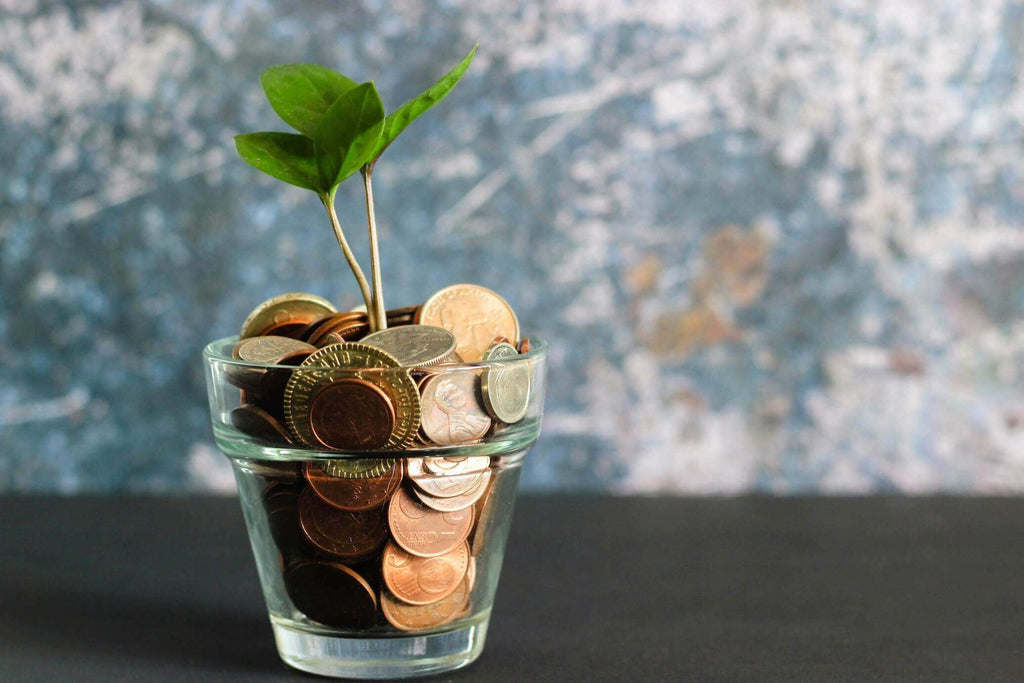 A coin jar with a plant sprouting out of the coins