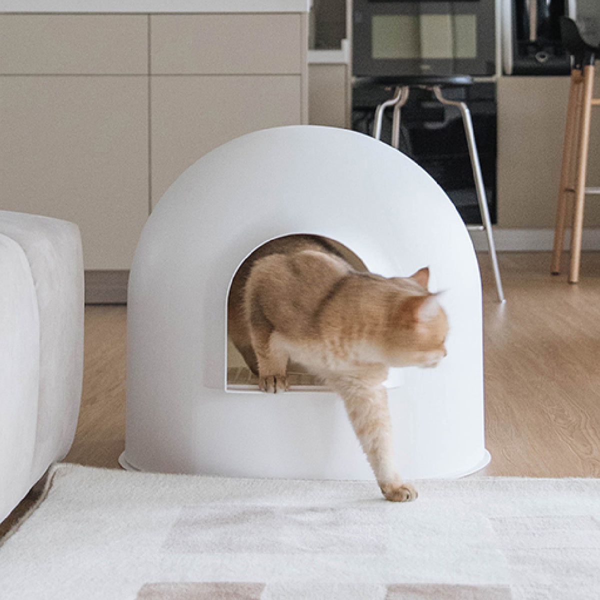 Igloo Cat Litter Box