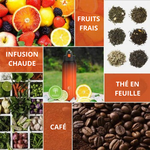 Bouteille sport infusion