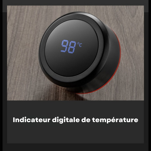 Thermos à thé avec infuseur et indicateur digitale de température