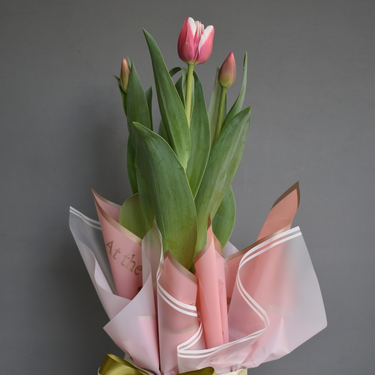 Maceta de tulipanes – Verde Amarelo