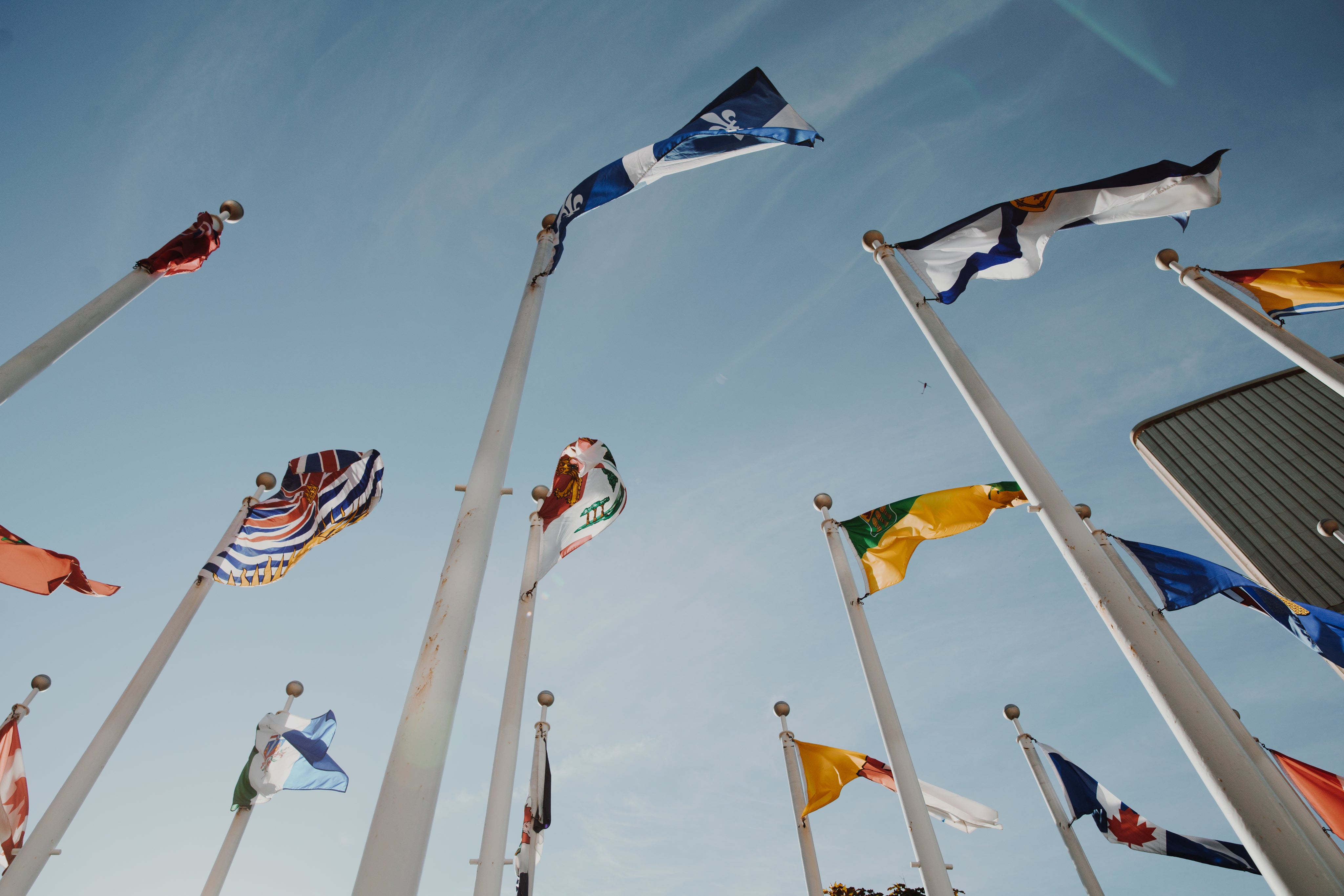 Customize Your Flag