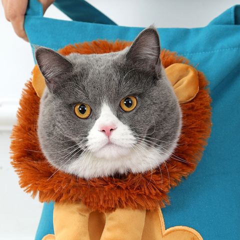 https://cdn.shopify.com/s/files/1/0664/9544/7276/files/2-main-soft-pet-carriers-lion-design-portable-breathable-bag-cat-dog-carrier-bags-outgoing-travel-pets-handbag-with-safety-zippers_480x480.png?v=1675719362