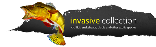 InvasiveHeader.png__PID:85bb0ac0-4728-4f0f-8b63-62c2977162b2