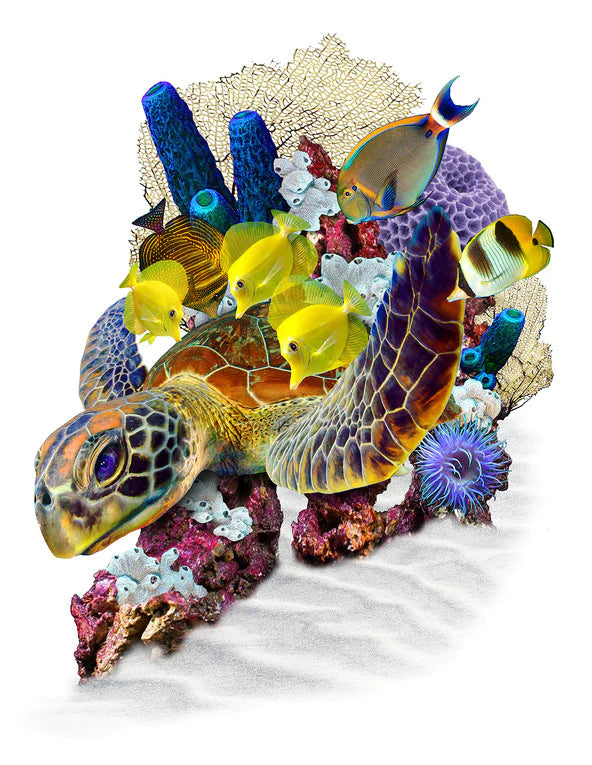 a variety of Tangs and colorful reef fish groom this beautiful Green Sea Turtle