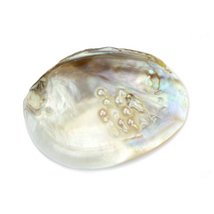 Mother of Pearl from Moregola Fine Jewelry