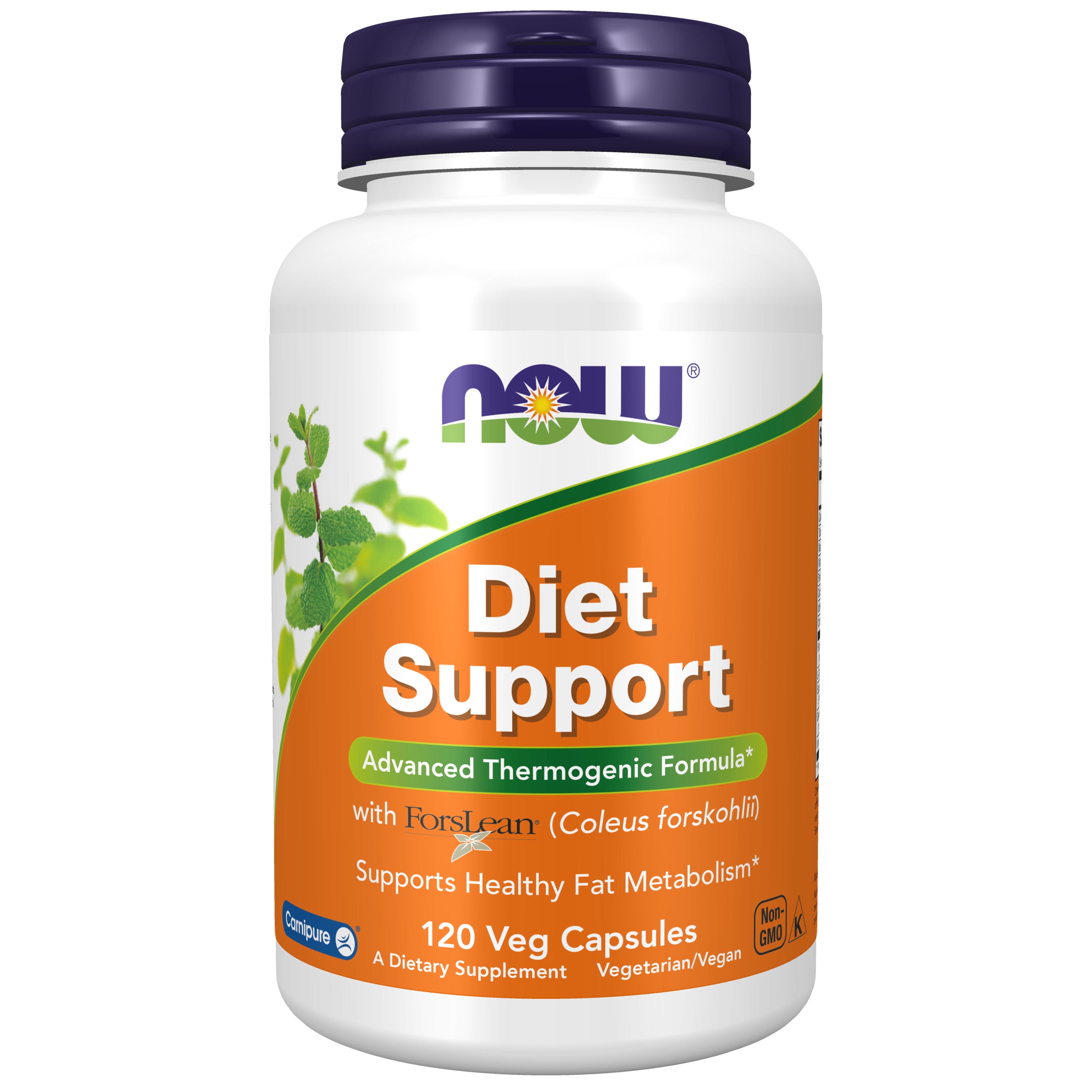 Diet Support - 120 Veg Capsules