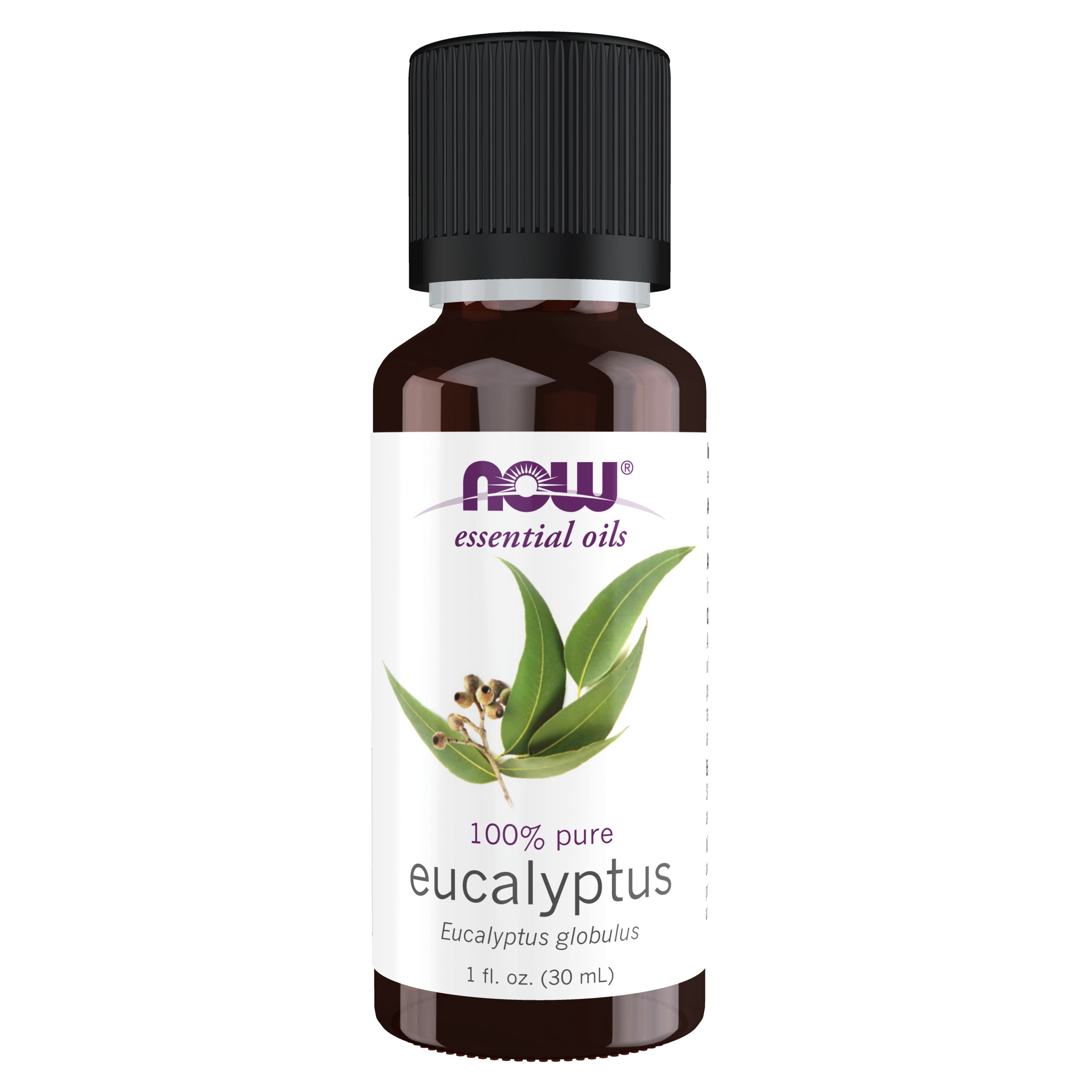 Eucalyptus Globulus Oil - 1 fl. oz.