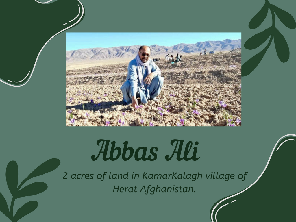 Abbas Ali our farmer