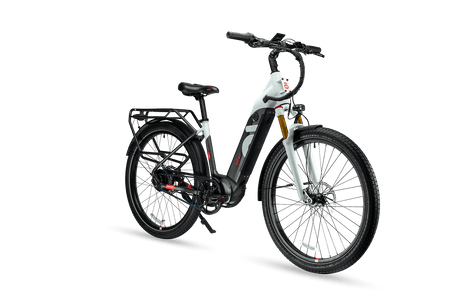 Electric Tricycles for Adults - Crazy Lenny's eBikes