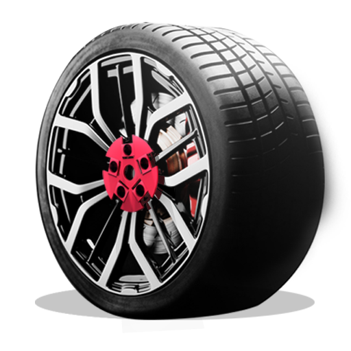 Wheelprotect 4er-Lochkreis