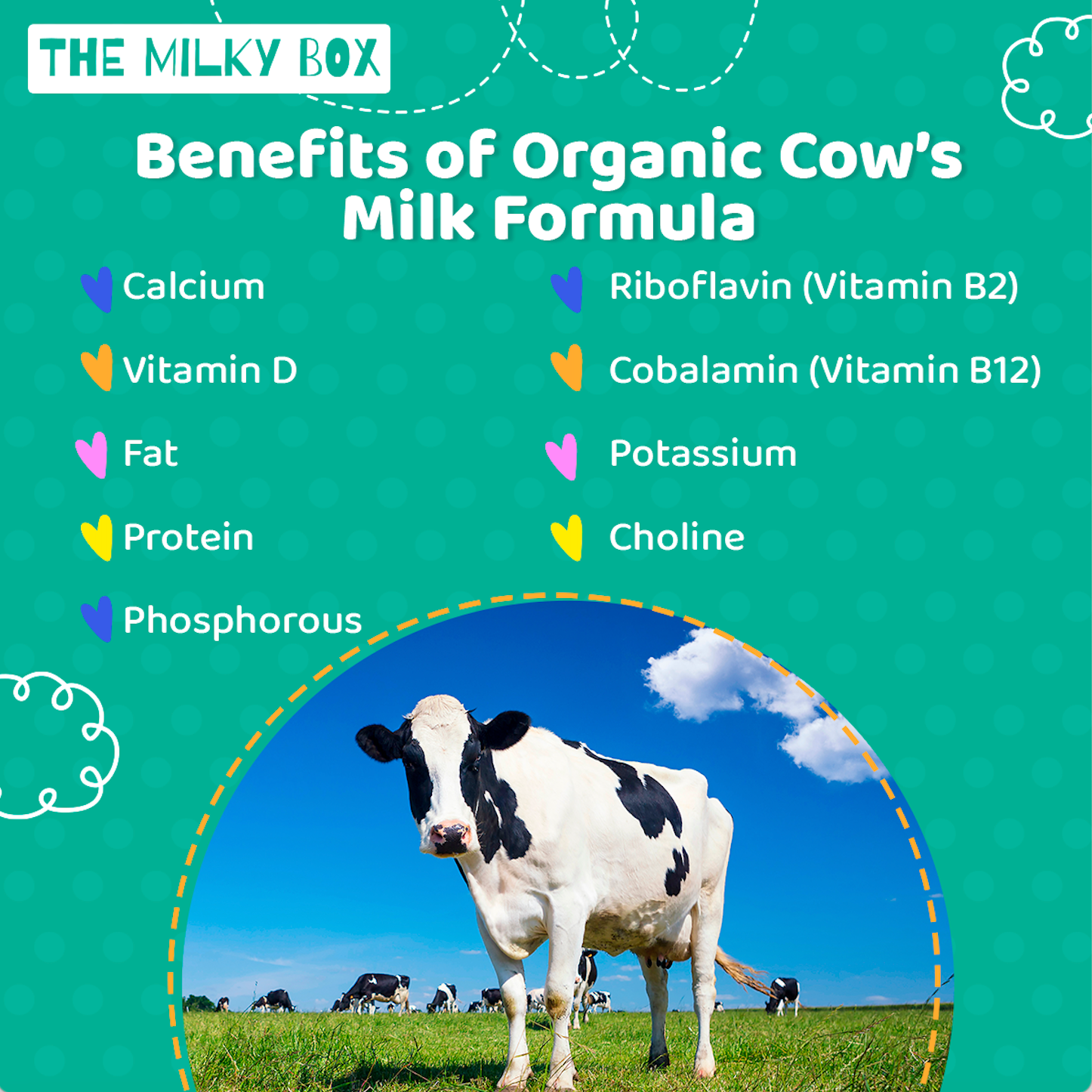 Health Benefits of Cow’s Milk