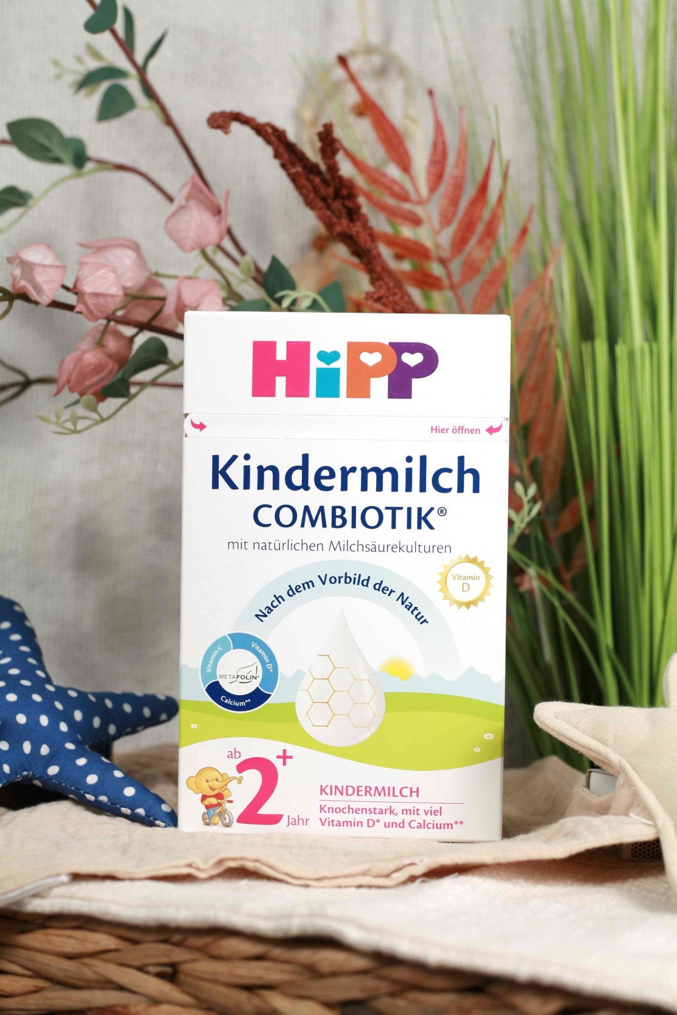 HiPP® Kindermilch 2+ Years (600g) Toddler Formula