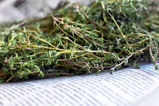 What does dried thyme look like