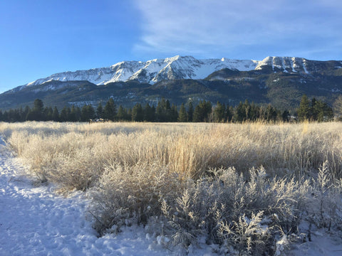 A photo of the snow accumulation on the mountains surrounding the Wallowa Valley