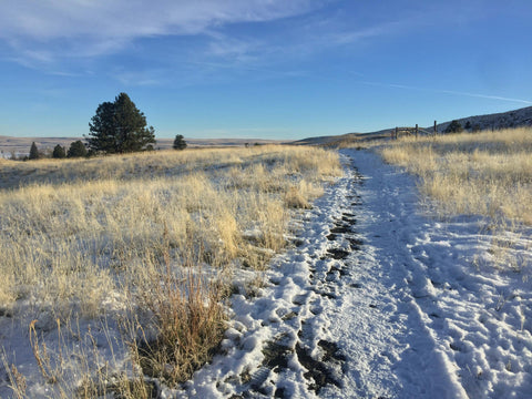 A photo of a snowy path