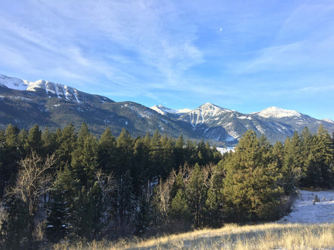 A photo of the beauty surrounding the Wallowa Valley at the turn of Fall