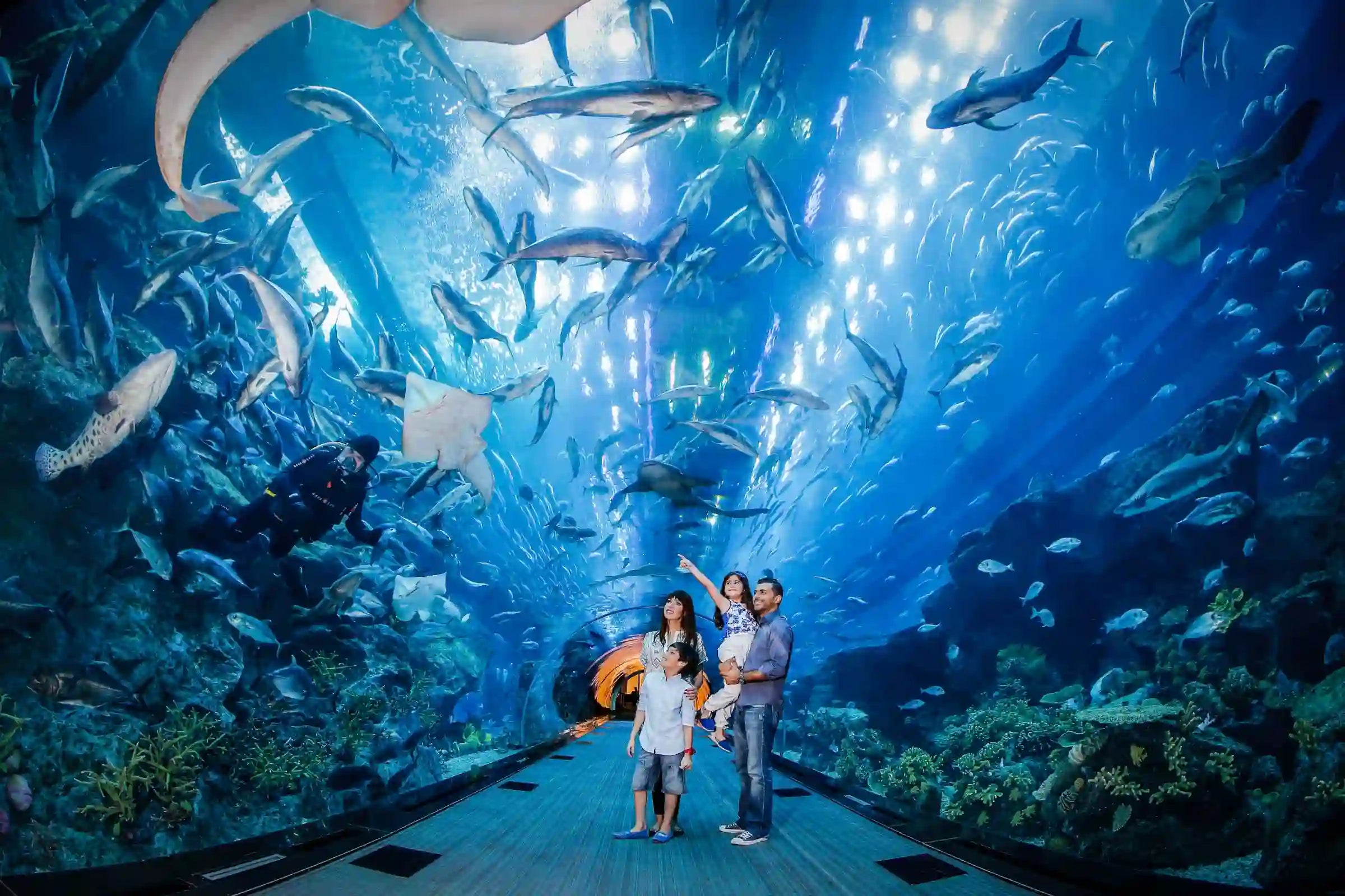 Dubai Aquarium And Underwater Zoo