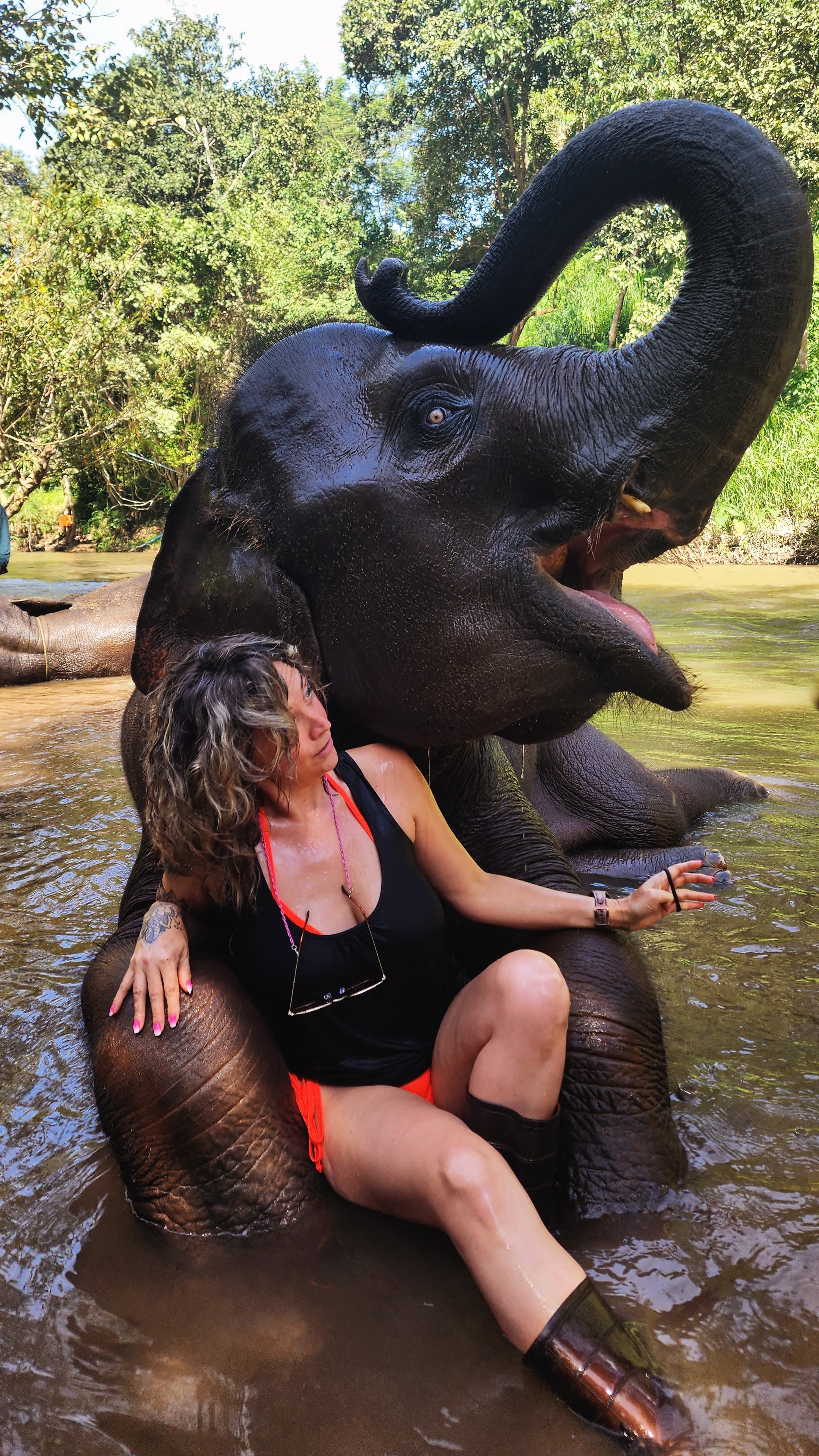baignade-avec-les-elephants-chiang-mai