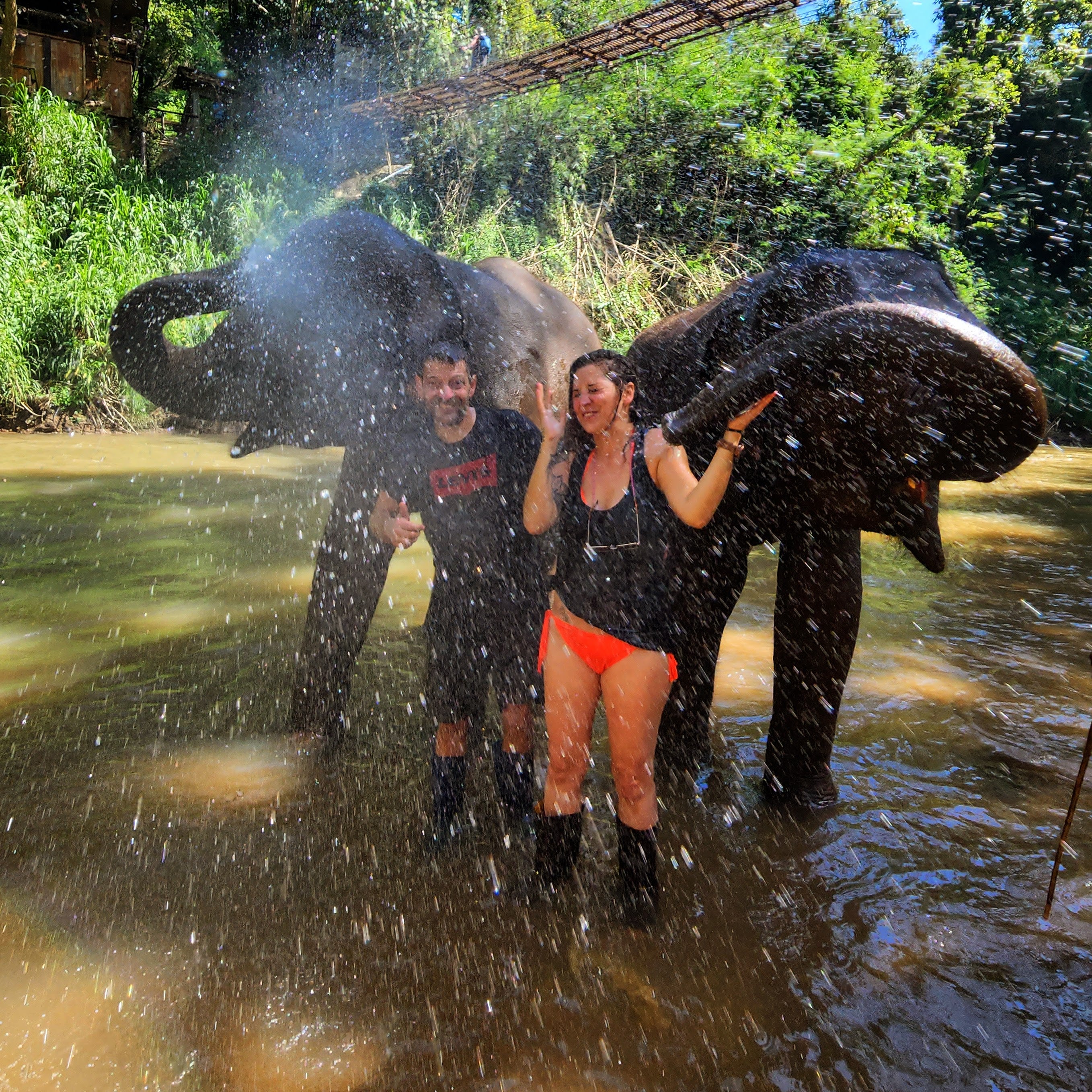 baignade-avec-les-elephants-chiang-mai