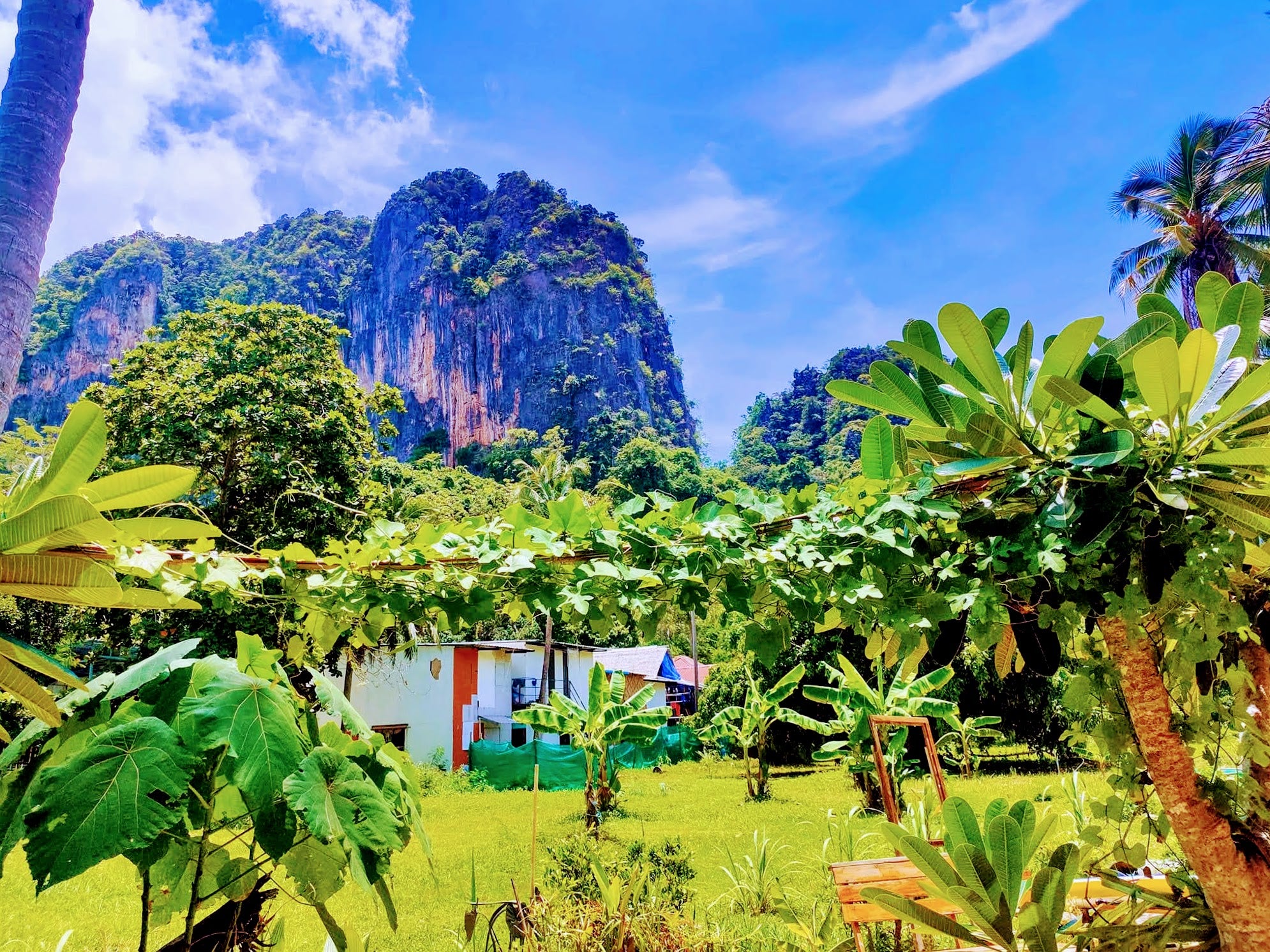 railay-cote-jungle-krabi-thailande