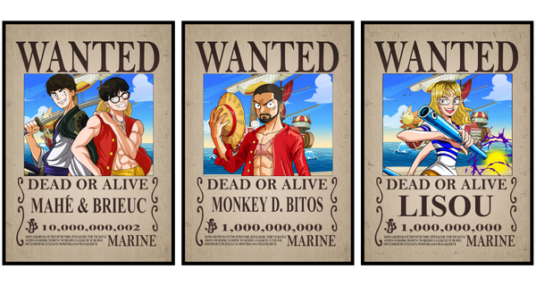 affiche wanted one piece personnalisée