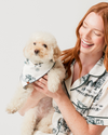 Dog Apparel Cream Hunter / Small Holiday Toile Pet Bandana