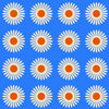 American Daisy Traditional Wallpaper Wallpaper Double Roll / Blue