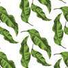 Banana Leaves Peel & Stick Wallpaper Peel & Stick Wallpaper Green / 24" x 48"