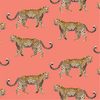 Cheetahs Traditional Wallpaper Wallpaper Coral / Sample