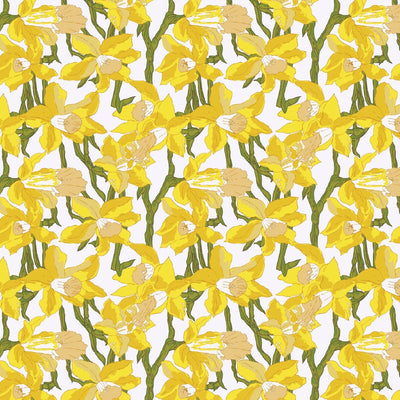 Wallpaper Double Roll Daffodils Wallpaper dombezalergii