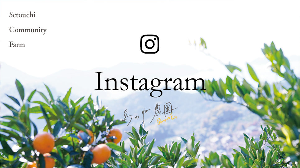 島のね農園より発信 Instagram