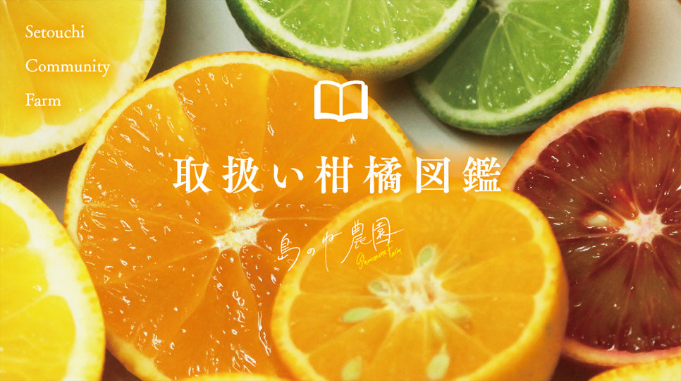 取り扱い柑橘図鑑
