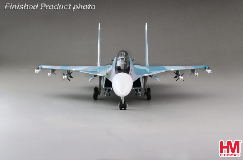 Su-30SM 「フランカーH」 ロシア航空宇宙軍 第31戦闘航空連隊15年 #03