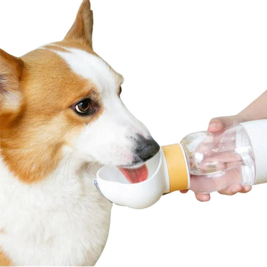 TravelPaw Portable Pet Water Bottle – PawPaw Puppy