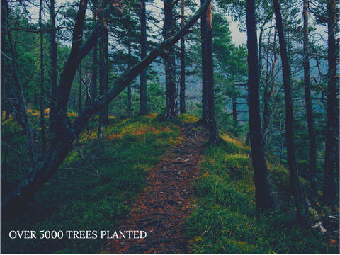 Trees planted