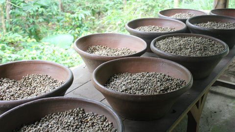 Bali Coffee Pods