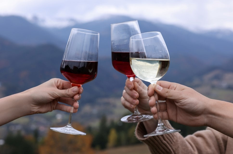 people enjoying red and white wine