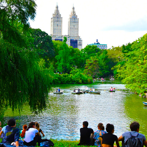 Central Park, New York