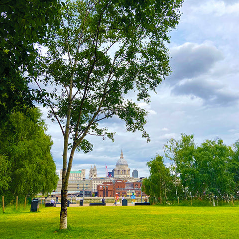 St Pauls, London