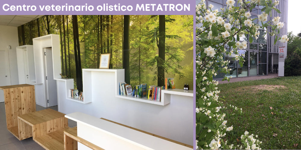 centro-veterinario-olistico-metatron