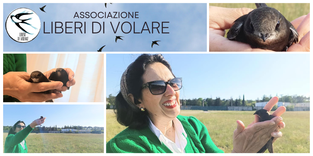 associazione-liberi-di-volare