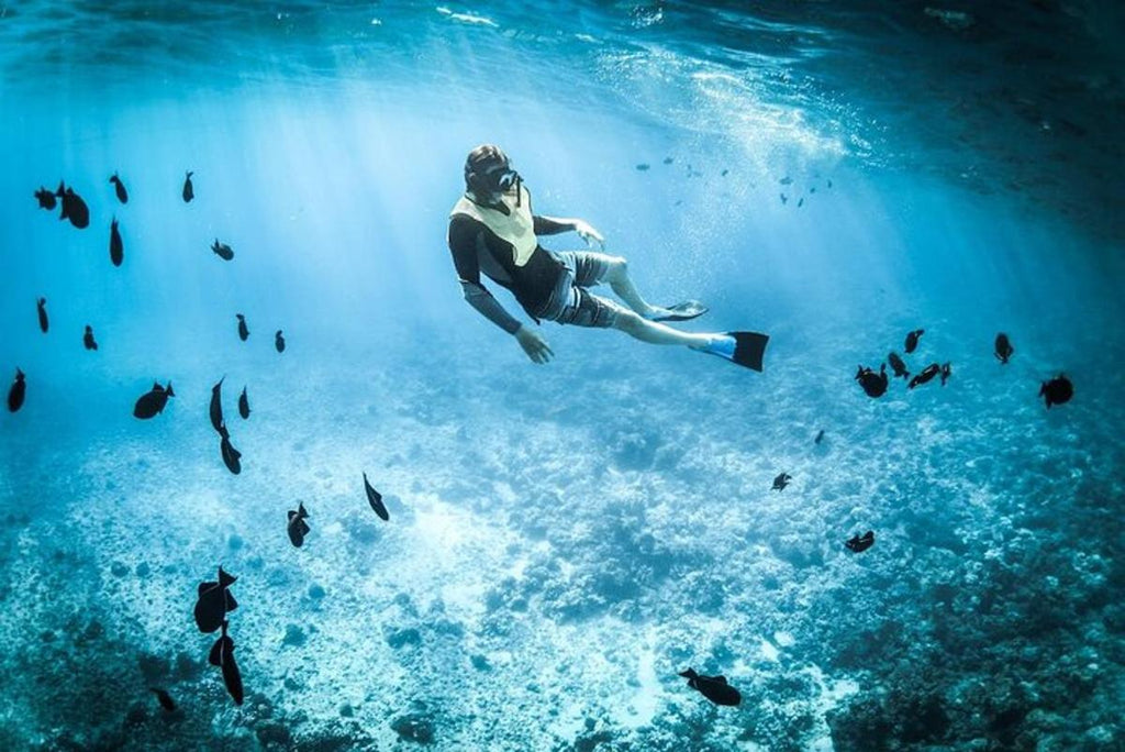 Excursion privée de plongée en apnée de 5 heures dans la baie de Chileno - les meilleures choses à faire à Cabo San Lucas pour les couples - GRANDGOLDMAN.COM