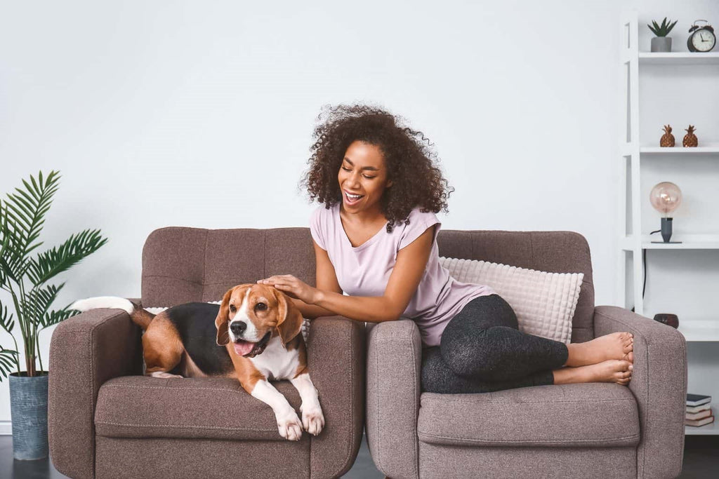 Woman and here dog on the sofa- best indoor air quality monitor - grandgoldman.com